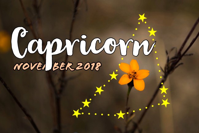 2018-11:Banner:10 Capricorn.jpeg
