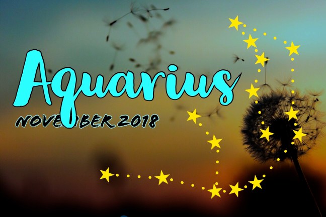 2018-11:Banner:11 Aquarius.jpeg