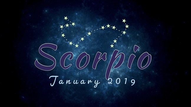2019-1:Banner:08 Scorpio.jpeg