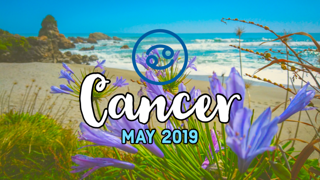 2019-05:Banner:04 Cancer.png