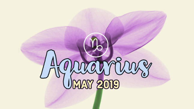 2019-05:Banner:11 Aquarius.png