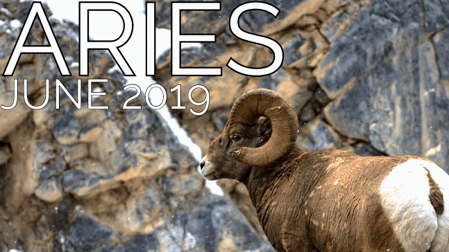 2019-06:Banner:01 Aries.png