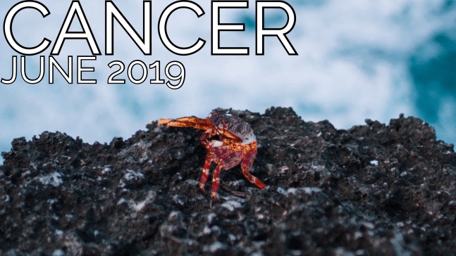 2019-06:Banner:04 Cancer.png