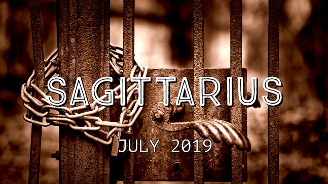 2019-07:Banner:09 Sagittarius.png