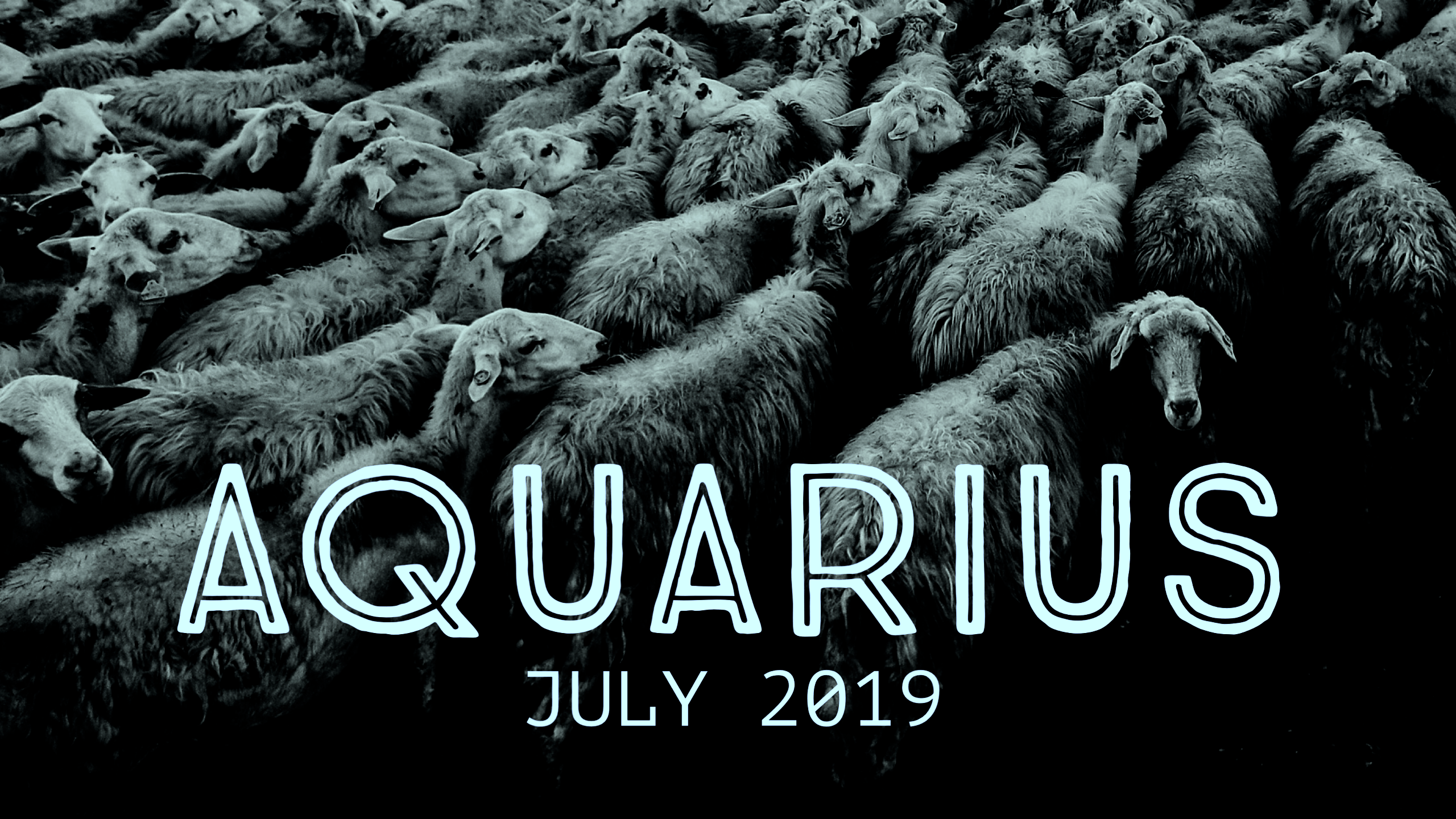 2019-07:Banner:11 Aquarius