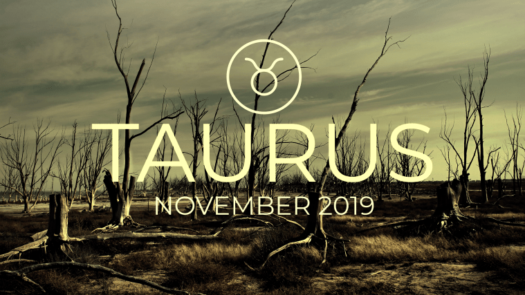 2019 11:Banner:02 Taurus.png