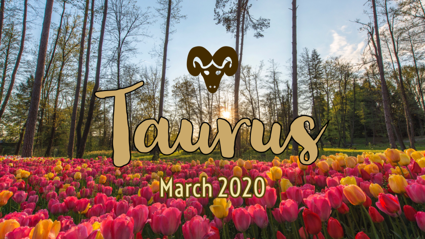 2020 03:Banner:02 Taurus