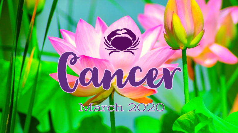 2020 03:Banner:04 Cancer