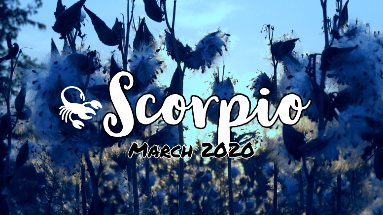 2020 03:Banner:08 Scorpio