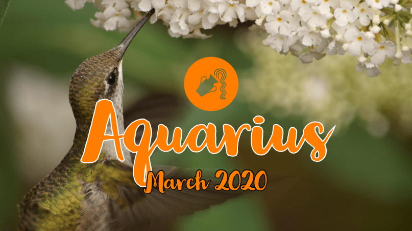 2020 03:Banner:11 Aquarius