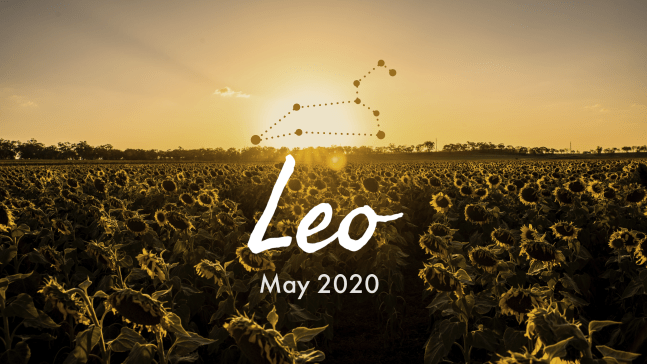 2020 05:Banner:05 Leo