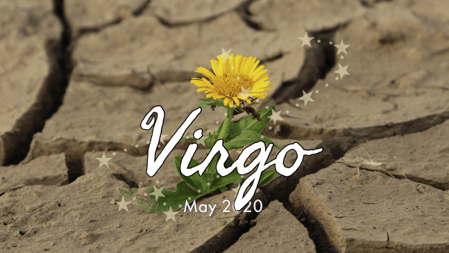 2020 05:Banner:06 Virgo