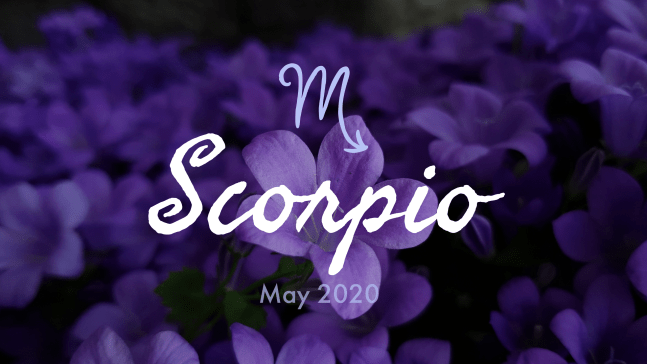 2020 05:Banner:08 Scorpio