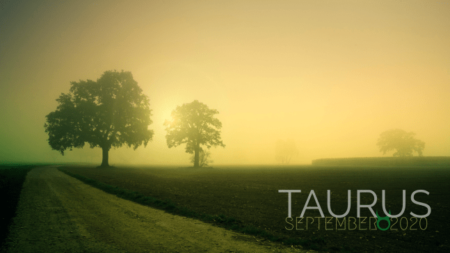 2020 09:Banner:02 Taurus