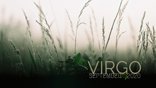 2020 09:Banner:06 Virgo