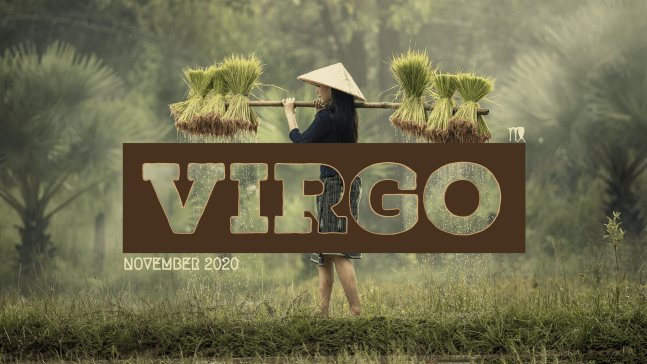 2020 11:Banner:06 Virgo