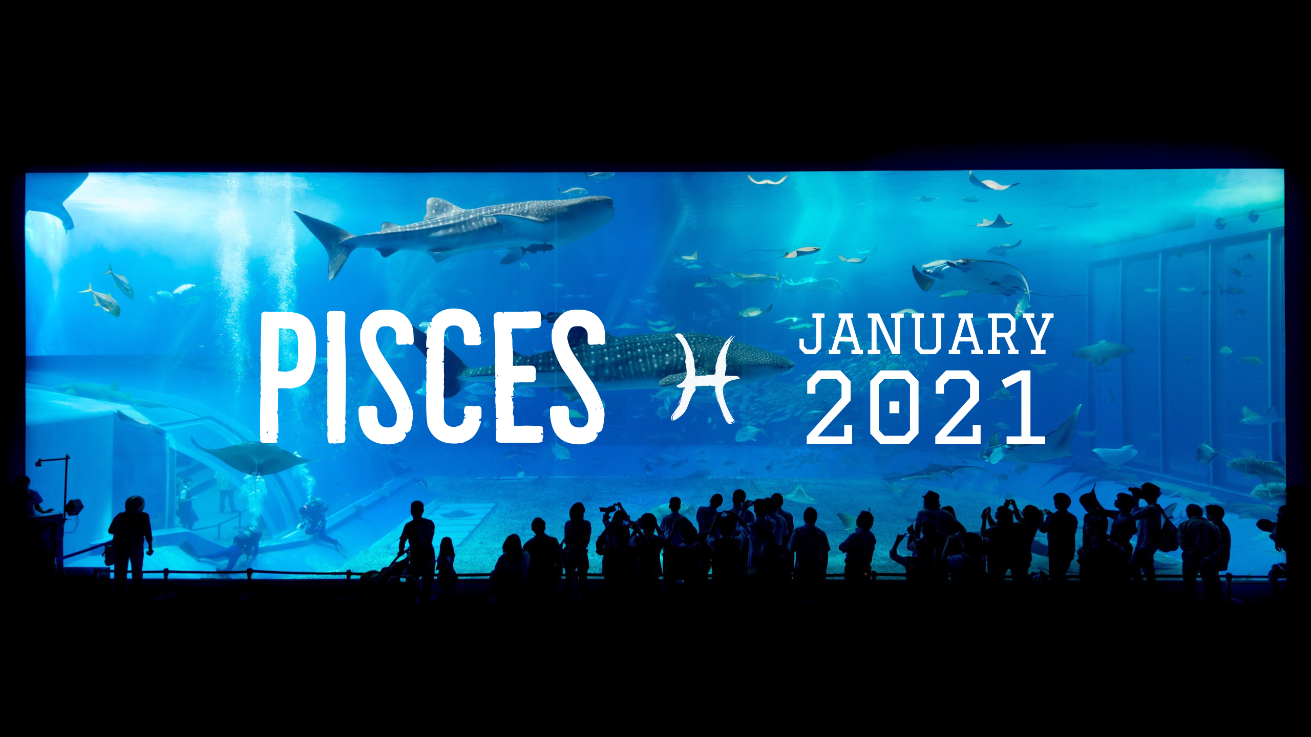 2021 01:Banner:12 Pisces
