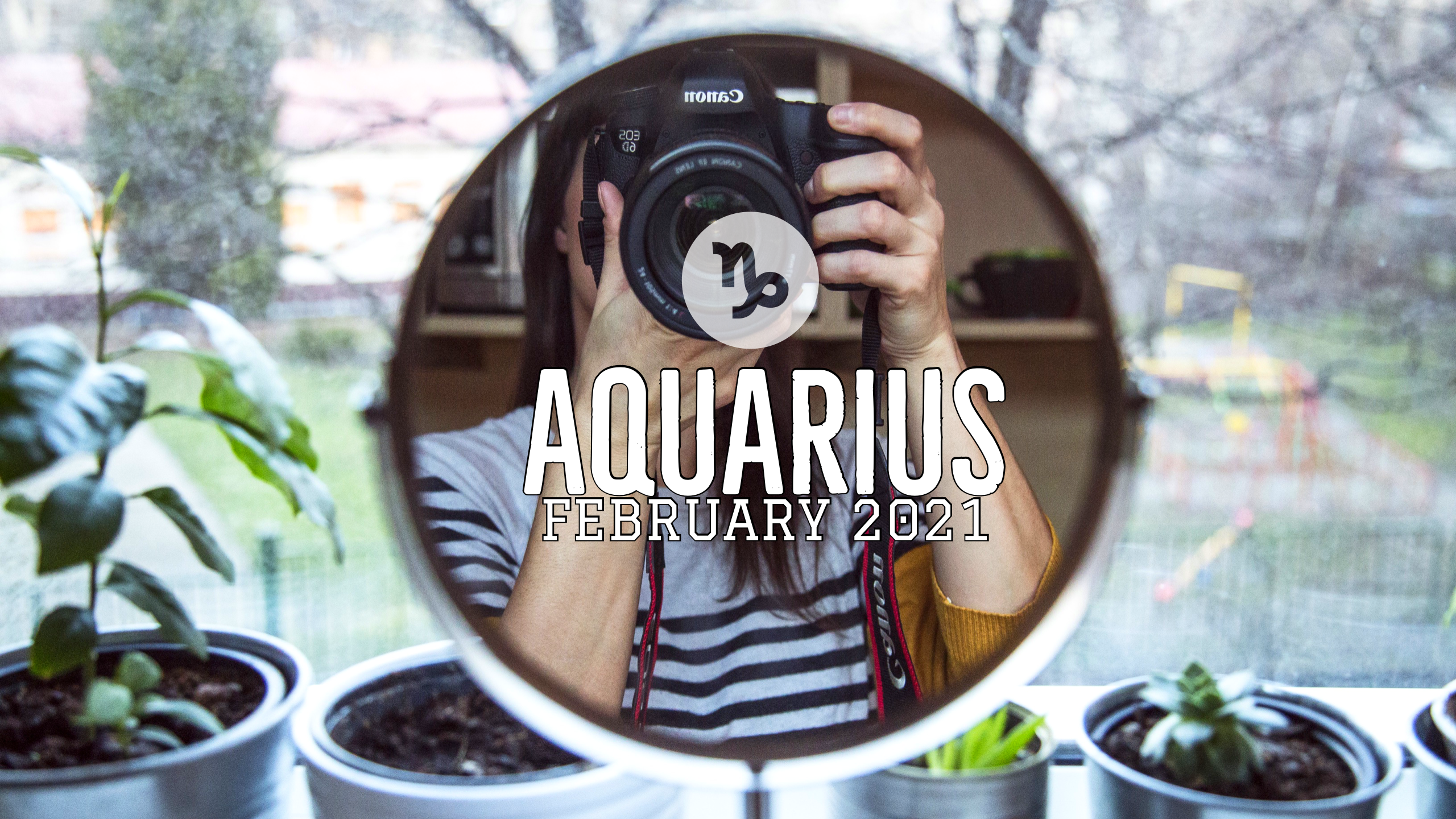 2021 02:Banner:11 Aquarius