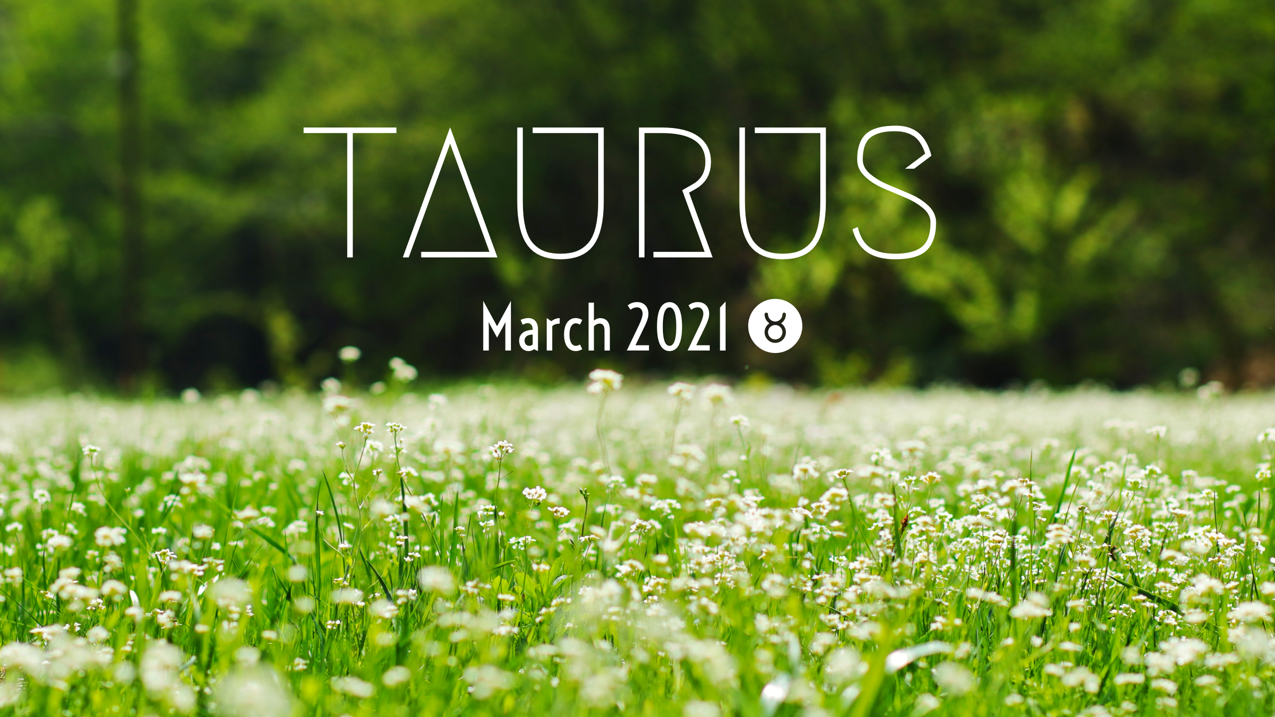2021 03:Banner:02 Taurus