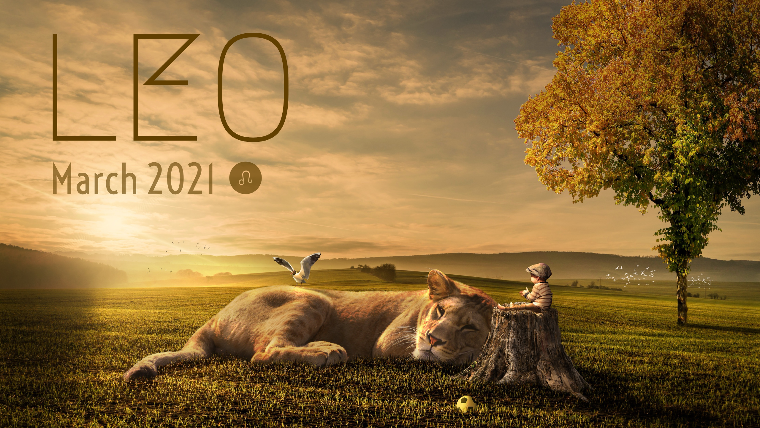 2021 03:Banner:05 Leo