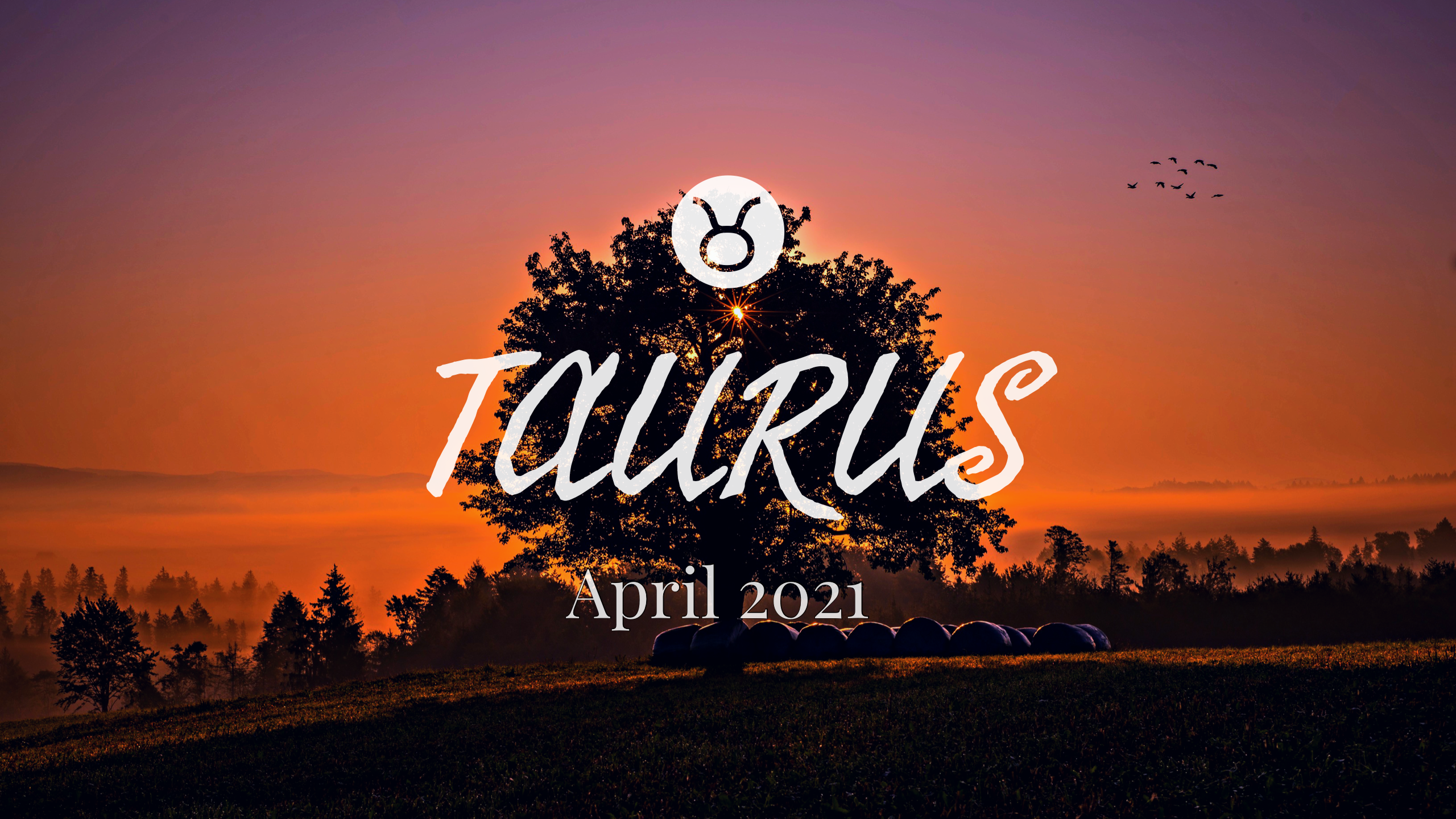 2021 04:Banner:02 Taurus