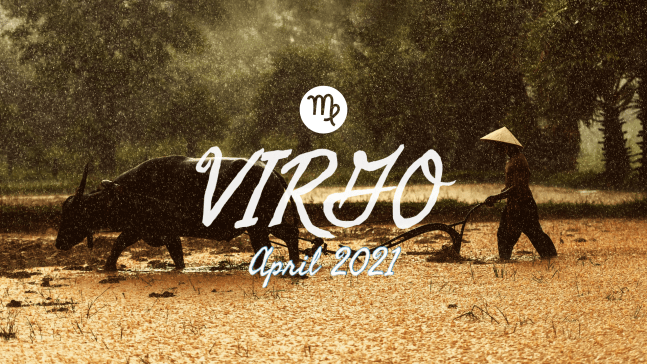 2021 04:Banner:06 Virgo