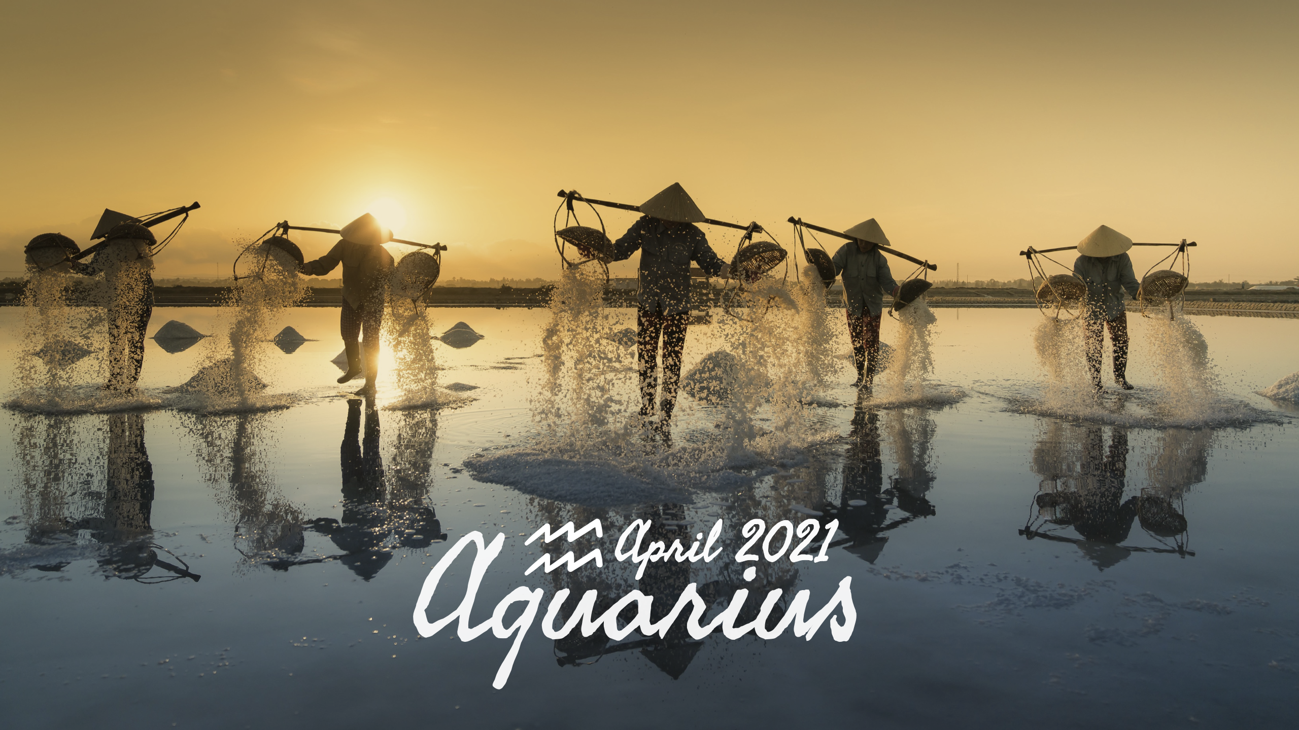 2021 04:Banner:11 Aquarius