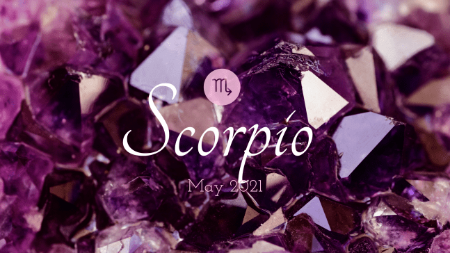 2021 05:Banner:08 Scorpio