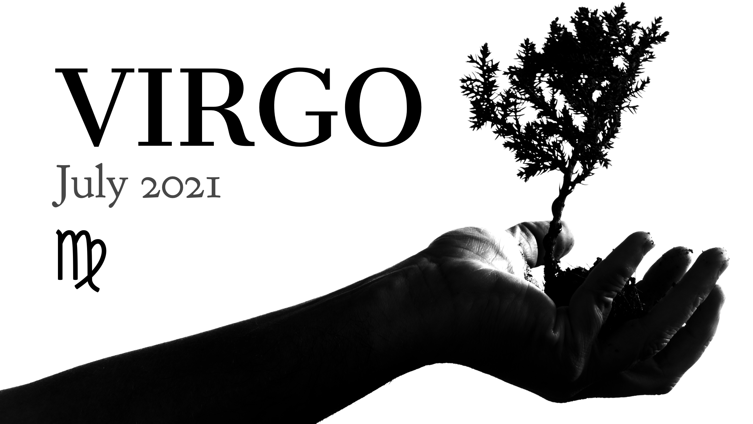 2021 07:Banner:06 Virgo