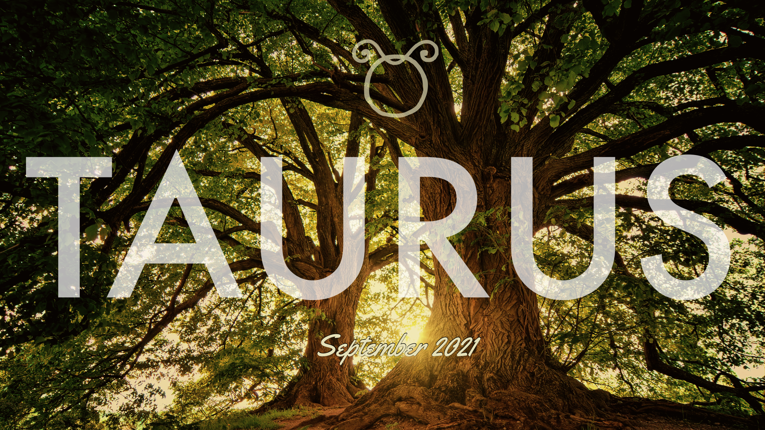 2021 09:Banner:02 Taurus