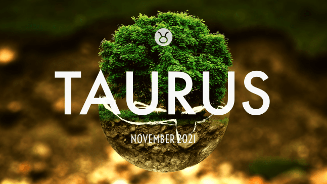 2021 11:Banner:02 Taurus