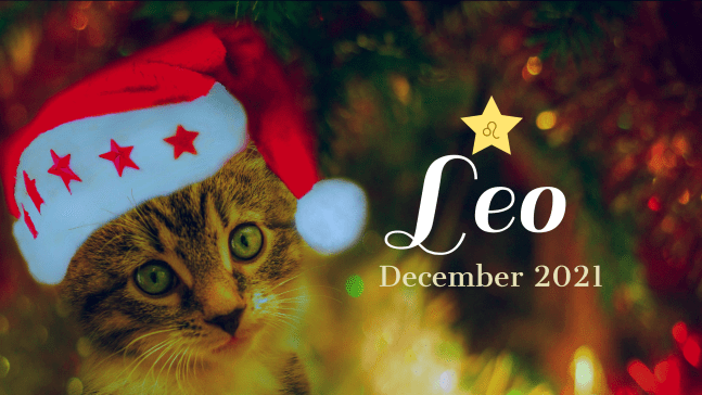 2021 12:Banner:05 Leo