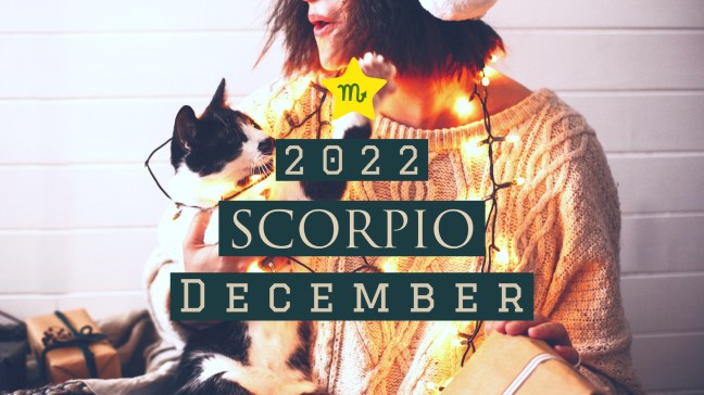 2022 12:Banner:08 Scorpio